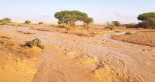 حذر مركز الأرصاد الجوية من جريان وسيول بعض الأودية على بعض المناطق الحدودية.