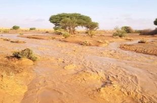 حذر مركز الأرصاد الجوية من جريان وسيول بعض الأودية على بعض المناطق الحدودية.