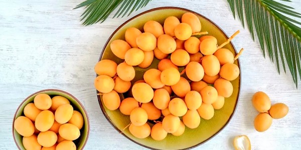 البلح الأصفر: سلاحك الطبيعي لمحاربة الكوليسترول