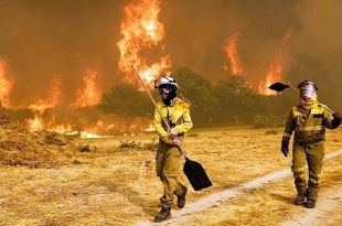 تقرير يحذر: تغير المناخ والأضرار التي لحقت بالطبيعة يهددان نمط الحياة في أوروبا