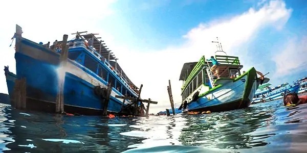 نشرة الصيد البحري الصادرة اليوم الأحد