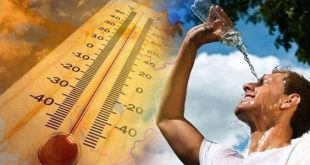 وفاة أكثر من 62 ألف شخص في أوروبا بسبب الحر عام 2024