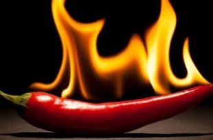 الطعام الحار: متعة أم ضرر؟ أخصائية تغذية تجيب