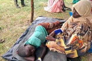 حملة أممية للتطعيم ضد "الكوليرا" في دارفور