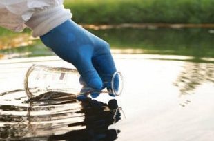 روسيا : ابتكار طريقة لتنقية المياه من منتجات النفط باستخدام بكتيريا