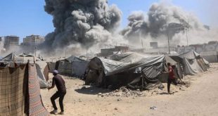 41 قتيلا و184 مصابا في غزة خلال الـ24 ساعة الأخيرة
