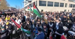 أكبر مسيرة داعمة لفلسطين في نيوزيلندا