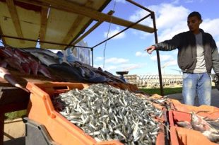 نشرة الصيد البحري المتوقعة على ليبيا اليوم