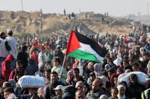 عودة 200 ألف مدني إلى شمال قطاع غزة المدمر