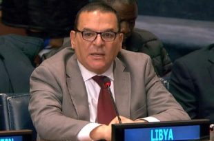 ليبيا تؤكد على التعاون الدولي لمكافحة الإتجار غير المشروع بالأسلحة