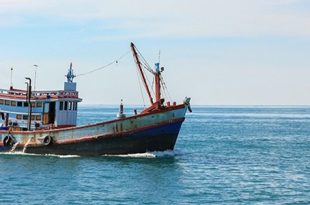 نشرة الصيد البحري المتوقعة على ساحل ليبيا اليوم