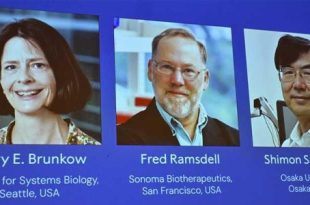 أميركيان وياباني يفوزون بجائزة نوبل للطب