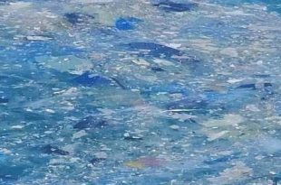 تحذيرات من كارثة بيئية في مرسى ديلة غرب الزاوية بسبب تراكم النفايات