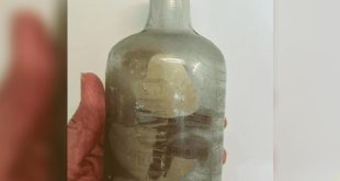 رسائل عبر الزمن".. زجاجة توثق الحرب العالمية الأولى