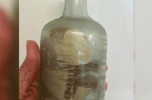 رسائل عبر الزمن".. زجاجة توثق الحرب العالمية الأولى