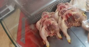 «لحوم الدواجن في ليبيا... من مائدة الفقراء إلى سلعة فاخرة!»