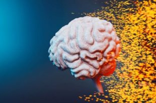 تطور دماغ الإنسان قد يكون وراء ارتفاع معدلات التوحد