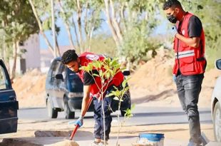 الهلال الأحمر ترهونة يقوم بحملة تشجير داخل المدينة