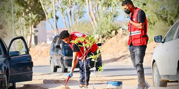 الهلال الأحمر ترهونة يقوم بحملة تشجير داخل المدينة