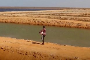 اللجنة الفنية لتقييم ومتابعة المزارع السمكية تباشر زياراتها