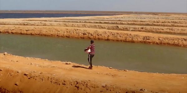 اللجنة الفنية لتقييم ومتابعة المزارع السمكية تباشر زياراتها