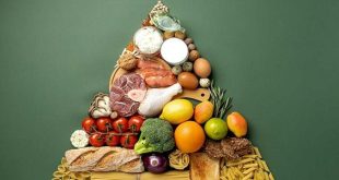 اليوم العالمي للغذاء: دعوة لضمان الأمن الغذائي ومكافحة الجوع عالميًا
