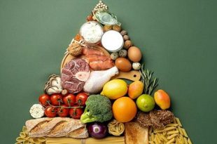 اليوم العالمي للغذاء: دعوة لضمان الأمن الغذائي ومكافحة الجوع عالميًا