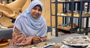 مصر.. اكتشاف بقايا تمساح عمره 80 مليون سنة
