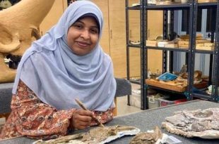 مصر.. اكتشاف بقايا تمساح عمره 80 مليون سنة