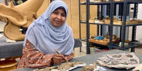 مصر.. اكتشاف بقايا تمساح عمره 80 مليون سنة