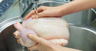 لا تغسلوا الدجاج النيئ: عادة "نظافة" قد تنشر بكتيريا السالمونيلا في مطبخك