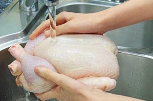 لا تغسلوا الدجاج النيئ: عادة "نظافة" قد تنشر بكتيريا السالمونيلا في مطبخك