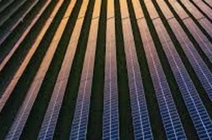 مرآة نانوية ذهبية تعزز كفاءة الألواح الشمسية فائقة الرقة بتكلفة منخفضة