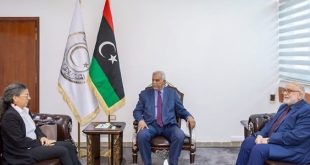 خوري تبحث مع مجلس الدولة استكمال إطار الانتخابات وتدعو لـ "تحمل المسؤولية"