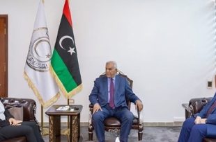 خوري تبحث مع مجلس الدولة استكمال إطار الانتخابات وتدعو لـ "تحمل المسؤولية"