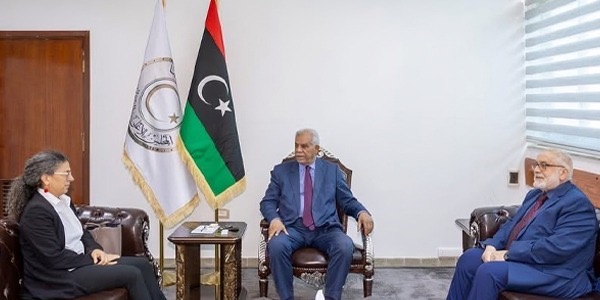 خوري تبحث مع مجلس الدولة استكمال إطار الانتخابات وتدعو لـ "تحمل المسؤولية"