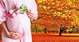 الحمل وفصول السنة الأربعة ما هي افضل الأوقات لصحة الأم والمولود