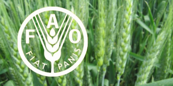 الفاو: 1.7 مليار شخص يتضررون من بتدهور الأراضي الزراعية في العالم