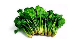 موسم السبانخ في ليبيا.. الكنز الشتوي الذي يقتل الغلي فوائده الغذائية