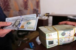 من يحمي أموال الليبيين من فوضى الدولار؟
