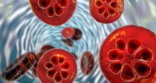 علاج جديد للملاريا بفعالية مذهلة