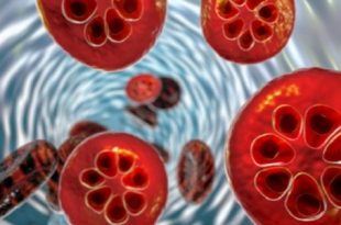 علاج جديد للملاريا بفعالية مذهلة