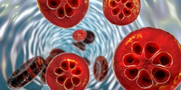 علاج جديد للملاريا بفعالية مذهلة