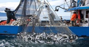 نشرة الصيد البحري المتوقعة على ليبيا اليوم الأربعاء