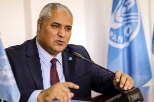 الفاو:مستويات الجوع في الدول العربية عند أعلى مستوياتها منذ عقدين