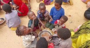 أطفال الفاشر في مخيمات الدبة: طفولة على رماد الحرب وسط النزوح والمعاناة