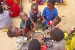 أطفال الفاشر في مخيمات الدبة: طفولة على رماد الحرب وسط النزوح والمعاناة