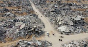 الفاو: انهيار شبه تام للزراعة في غزة وما تبقى منها أقل من 5%