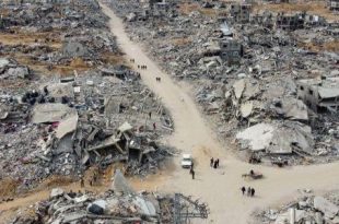 الفاو: انهيار شبه تام للزراعة في غزة وما تبقى منها أقل من 5%