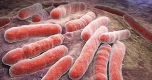 السل يتصدر الأمراض الفتّاكة و2000 مريض يتلقون استشارات في ليبيا